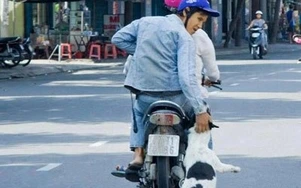 Hà Nội: Chủ nhà tuyệt vọng khi "cẩu tặc" hành sự ngay trước mặt