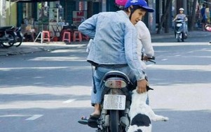 Hà Nội: Chủ nhà tuyệt vọng khi "cẩu tặc" hành sự ngay trước mặt