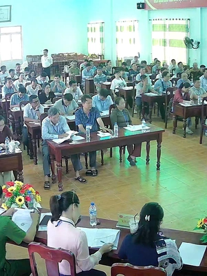 Từ TP.HCM ra Quảng Ngãi đấu giá trúng 16 lô đất rồi bỏ cọc