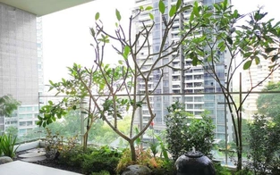 Tìm lời giải cho bài toán không gian xanh gắn với căn hộ trong “đô thị nén”