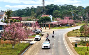 Quảng Ngãi: Khởi công khu đô thị gần 6.700 tỷ đồng tại Măng Đen trong năm 2026