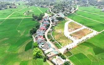 Đấu giá đất không còn giữ vai trò "thiết lập mặt bằng giá mới"