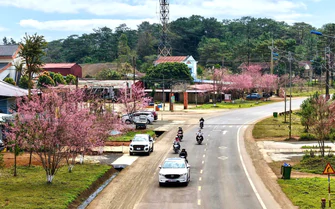 Quảng Ngãi: Khởi công khu đô thị gần 6.700 tỷ đồng tại Măng Đen trong năm 2026