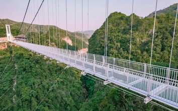 Cầu kính ở Việt Nam được cấp phép, nghiệm thu an toàn như thế nào?