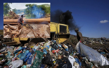 Nạn phá rừng, ô nhiễm nhựa, không khí: 90 Hoa hậu Trái đất bàn thảo với sinh viên Việt Nam