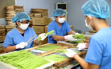 Ống hút từ rau củ chinh phục thị trường ngoại