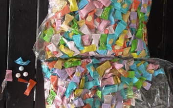 Các vụ ngộ độc tập thể liên quan đến vi sinh Salmonella và độc tố Psilocin