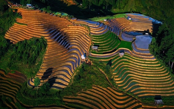 Mù Cang Chải mùa nước đổ: Ruộng bậc thang đẹp "hút hồn" du khách