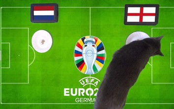 Mèo tiên tri dự đoán kết quả trận Hà Lan vs Anh: Dập tắt "cơn lốc"?