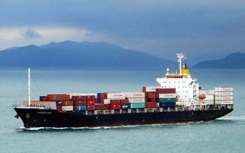 Mở cơ hội phát triển đội tàu container