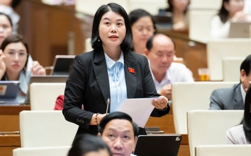 Đề nghị tăng cường quản lý, xử lý rác thải điện tử, pin mặt trời