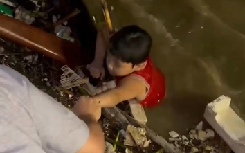 Nghẹt thở giải cứu bé trai bị lũ cuốn trôi trên sông Hàn, dạt vào chân cầu Rồng