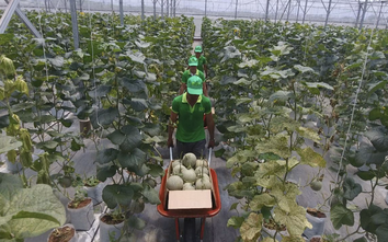 TP.HCM: Xã Nhuận Đức phấn đấu thành xã nông thôn mới nâng cao