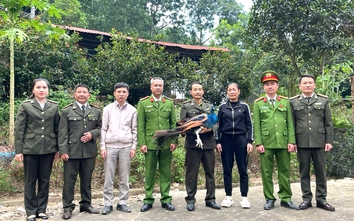 Thanh Hóa: Người dân giao nộp công Ấn Độ và khỉ mốc cho kiểm lâm
