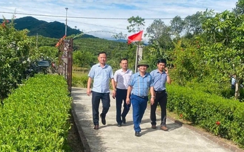 Vì sao Hà Tĩnh chuyển mục tiêu thành "tỉnh hoàn thành nhiệm vụ xây dựng nông thôn mới"?