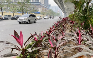 Hà Nội: Hiệu quả từ thí điểm chỉnh trang đô thị