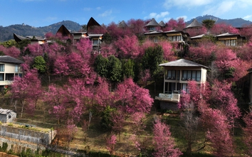 Mù Cang Chải sẵn sàng cho Festival Khèn Mông và Lễ hội hoa Tớ Dày 2026