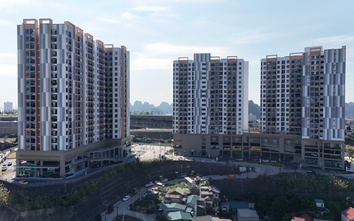 Nhà ở xã hội Đồi Ngân Hàng - Không gian sống chuẩn Nhật giữa lòng Hạ Long