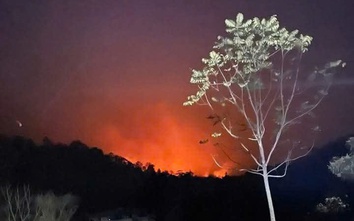 Thêm một vụ cháy rừng tại Tuyên Quang