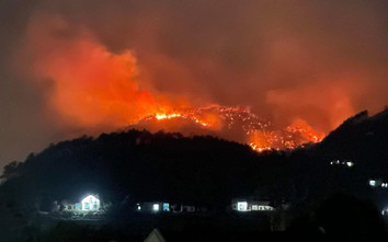 Phó Thủ tướng chỉ đạo tập trung khắc phục hậu quả 2 vụ cháy rừng tại Quảng Ninh