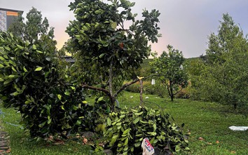 Mưa đá kèm lốc xoáy khiến nhiều nhà dân tốc mái, bể nhiều kính ô tô