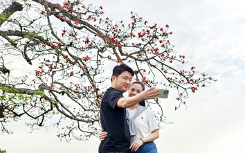 Về nơi “một tiếng gà 3 nơi nghe rõ” check-in với cây gạo trăm năm