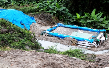 Quảng Nam sẽ đấu giá mỏ vàng hơn 2,4 tấn khu vực Hố Ráy