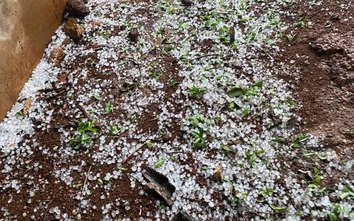 Mộc Châu xuất hiện dông lốc, mưa đá