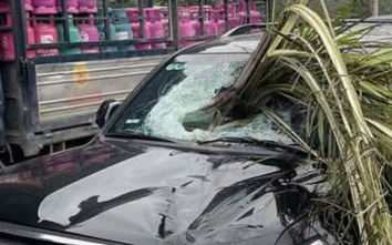 Quảng Ninh: Xe 4 chỗ bị cây cọ xuyên thủng kính chắn gió phía trước