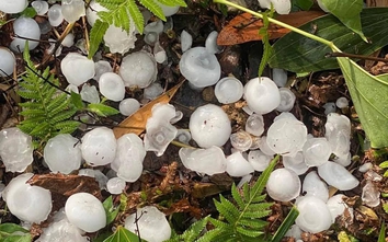 Mưa đá trắng xóa ở Hà Giang