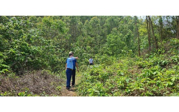Trung tâm phát triển nông, lâm nghiệp tỉnh Vĩnh Phúc  quyết liệt  phòng, chống cháy rừng