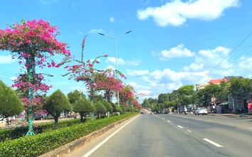 Bình Phước: Tăng tốc xây dựng nông thôn mới với mục tiêu nâng cao và kiểu mẫu