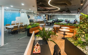 Nở rộ dịch vụ văn phòng ảo, giá vài trăm nghìn