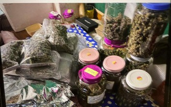 Tuyên Quang: Khởi tố 3 đối tượng buôn bán gần 4,2kg cần sa