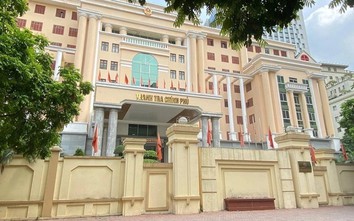 Cơ cấu tổ chức Thanh tra Chính phủ sau sắp xếp