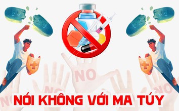 Mở cao điểm tấn công tội phạm ma túy, quản lý chặt các đối tượng biểu hiện "ngáo đá"