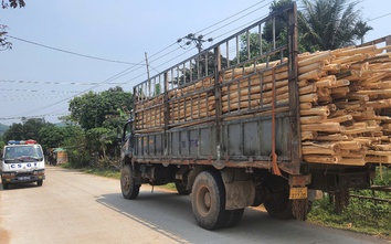 Quảng Ngãi lập lại trật tự giao thông, xử nghiêm xe quá tải, quá khổ