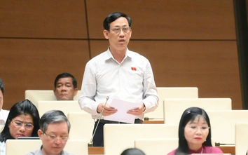 Đại biểu đồng tình dành cơ chế đặc thù phát triển đường sắt