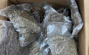 Tuyên Quang: Triệt phá đường dây buôn bán cần sa, thu giữ 10kg chất gây nghiện