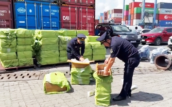 Bắt giữ 5kg ma túy đá giấu trong thớt gỗ qua sân bay Tân Sơn Nhất