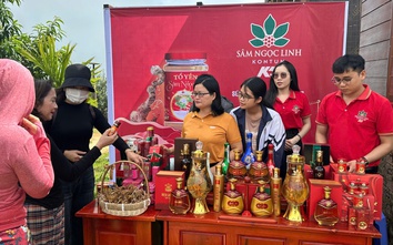 Phiên đấu giá sâm Ngọc Linh ở Kon Tum có gì đặc biệt?