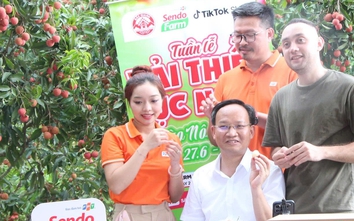 Phó Chủ tịch Bắc Ninh chia sẻ gì sau khi livestream bán hơn 50 tấn vải thiều?