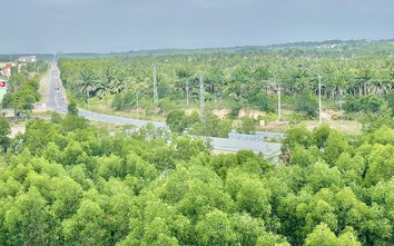 Quảng Trị: Chuyển chủ đầu tư dự án phát triển đô thị ven biển miền Trung