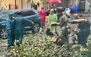 Giông lốc càn quét TP.HCM: Nhiều căn nhà tốc mái, cây xanh, cột điện ngã đổ