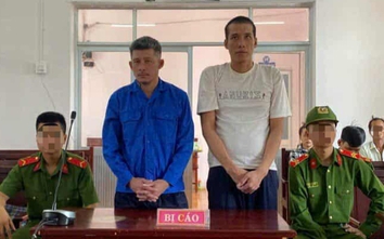 Lĩnh án tù vì đánh bạn nhậu tử vong