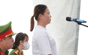Cà Mau: Người phụ nữ chống người thi hành công vụ lĩnh án tù