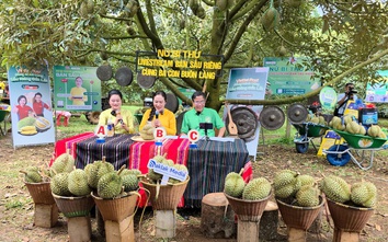 Đắk Lắk: Nữ bí thư xã ra vườn cùng bà con buôn làng livestream bán sầu riêng