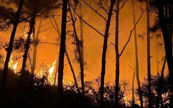 Hơn 300 người nỗ lực chữa cháy rừng ở Nghệ An trong đêm