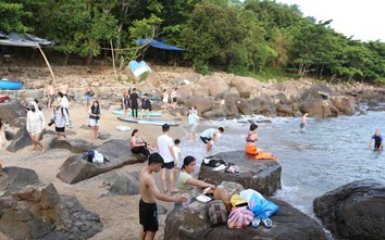 Mở lại các tuyến du lịch trên bán đảo Sơn Trà