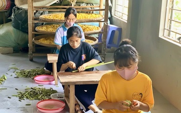 Làng nghề truyền thống Hà Nội góp sức phát triển nông thôn mới